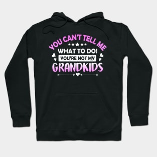 You Can't Tell Me What To Do You're Not My Grandkids Hoodie